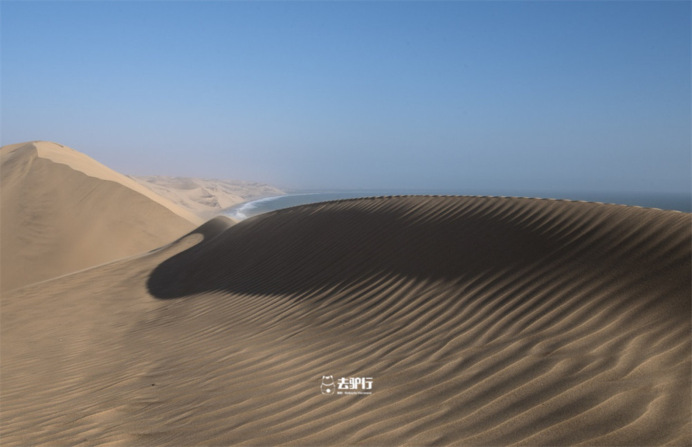 更换了国籍的非洲动物:栖息地回归祖国怀抱,它