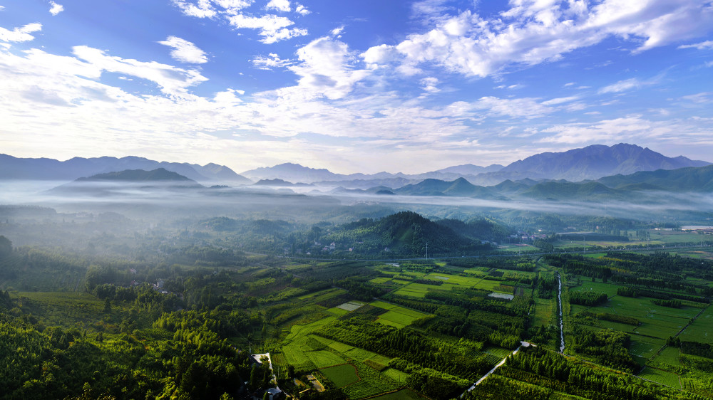 秀丽大竹园(摄影:云山)摄于浙江省安吉县灵峰街道大竹园村.