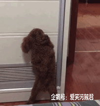 爆笑gif:姑娘你这眼睫毛恐怕是撑不住了啊!哈哈没谁了!