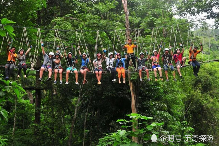 让我们去丛林穿越 给心灵放个假