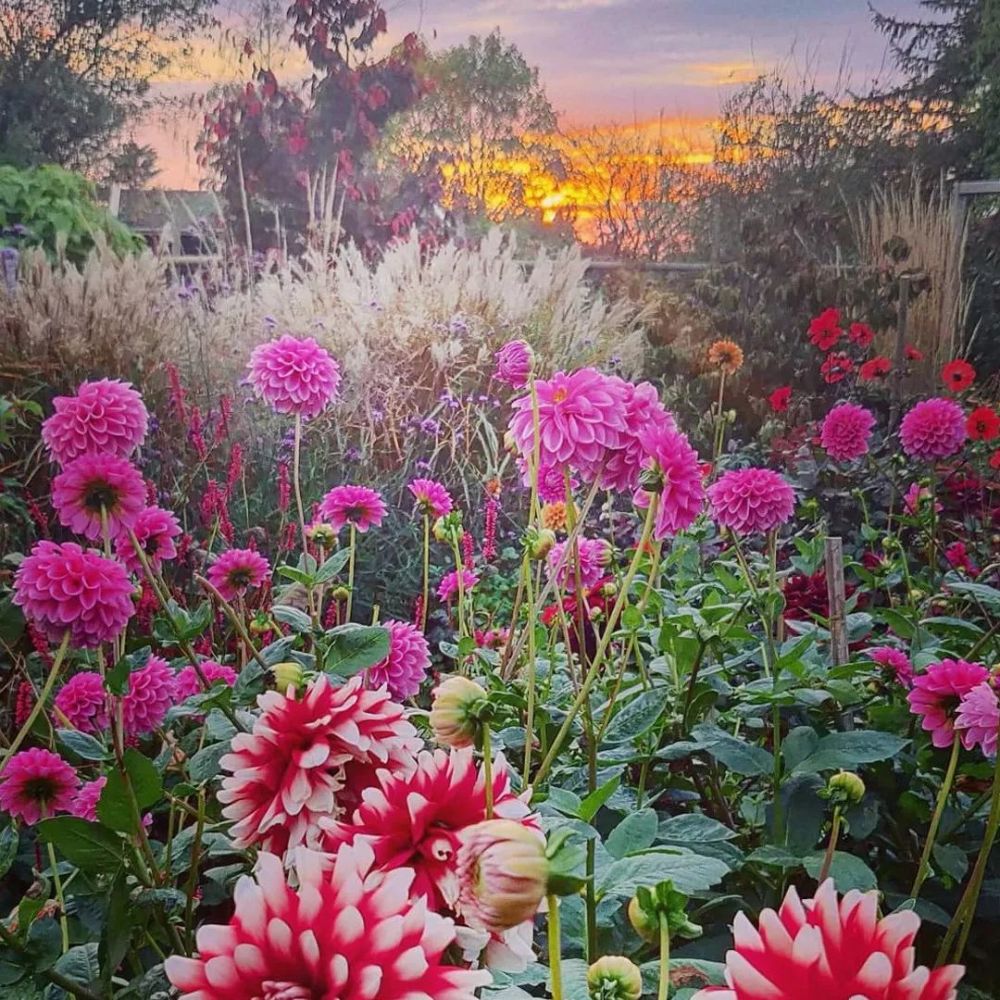 花草树木,美丽风景