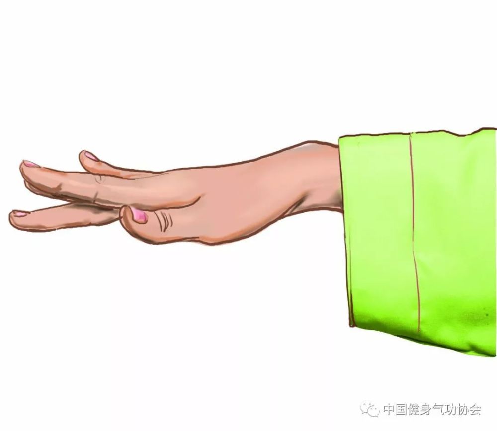 健身气功基本手型