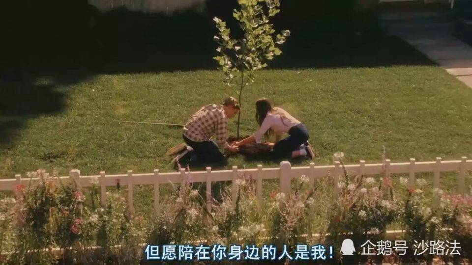 电影中曾感动你的一句话,还记得吗?