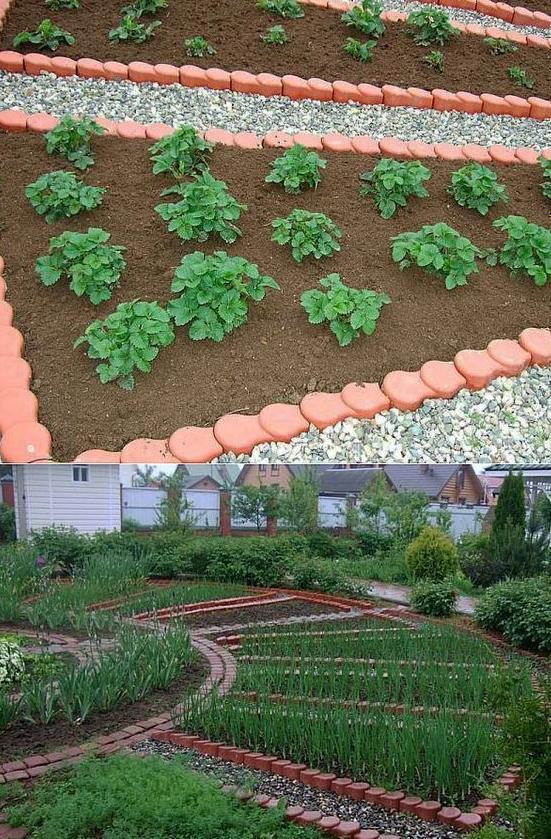 从院子到家里到处都能种菜,跟种花一样简单漂亮,还能省些买菜钱