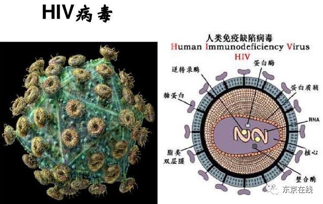 日本发布2018年艾滋病统计报告,数据惊人