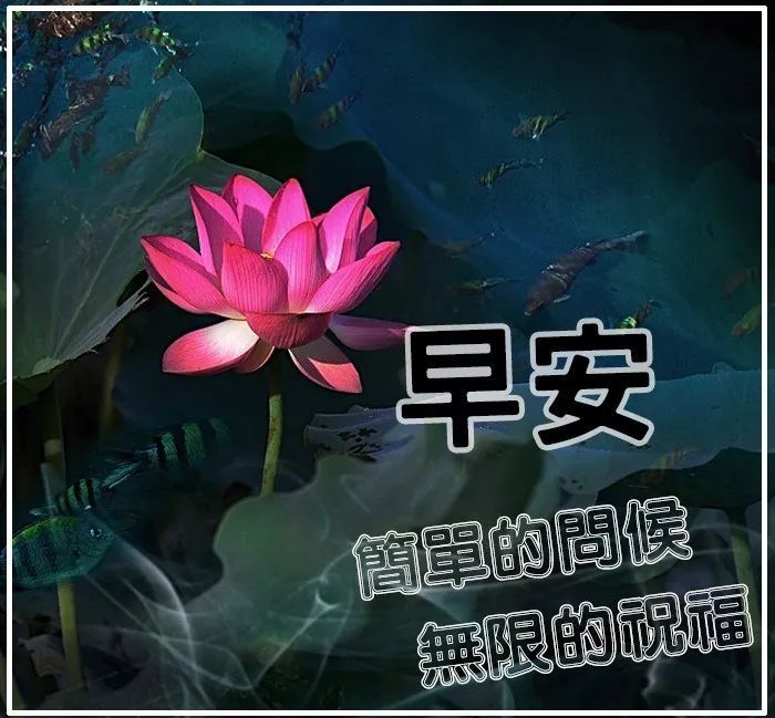 9月20日温馨早安祝福语慰问美图短信,唯美早安问候暖心祝福语