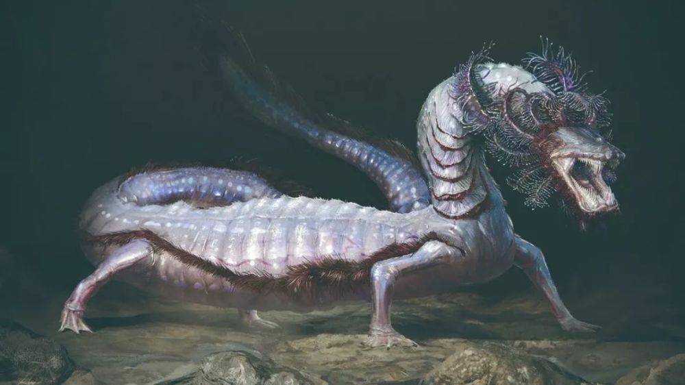 地球上最像龙的生物——洞螈