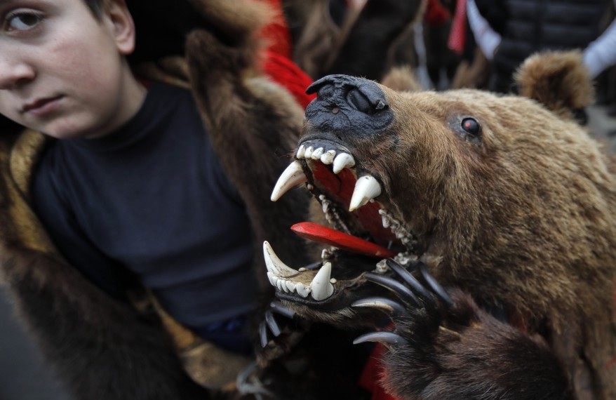 熊的舌头做了特殊处理,涂上了红色的颜料.