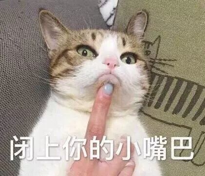 挑衅斗图表情包