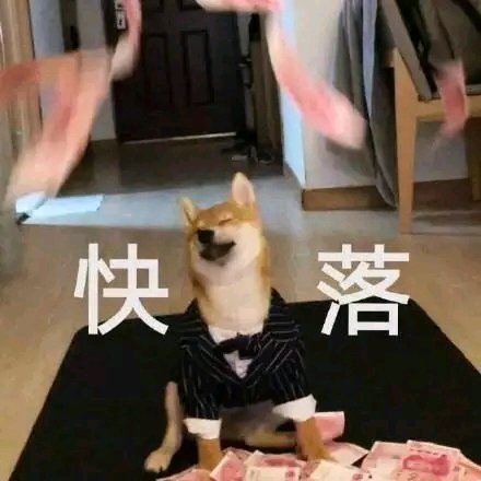 可爱狗狗搞笑表情包:今天盘谁呢?