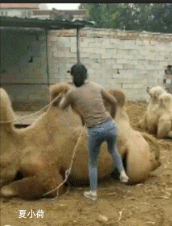 搞笑gif趣图:现在的学妹越来越不像话了,天天上课睡觉!