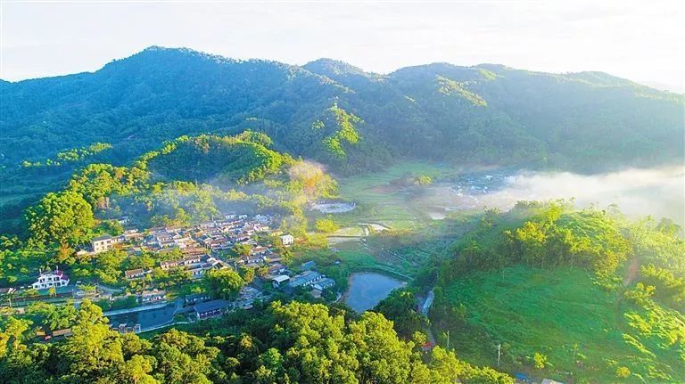 到海南岛美丽乡村 寻海岛原生态生活