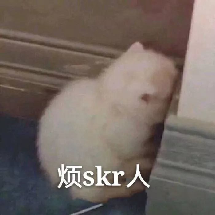 动态表情,怂,怂,我又不敢顶嘴!