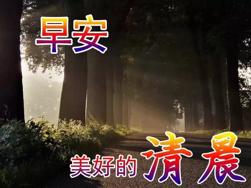 早晨好问候语动态图片温馨表情,早上好超赞问候关心祝福语