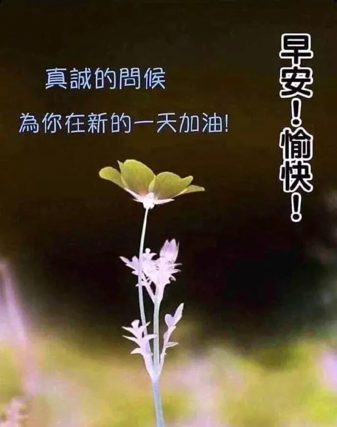 朋友圈最温馨的早安祝福图片精选 最新版早上好短信问候祝福语大全