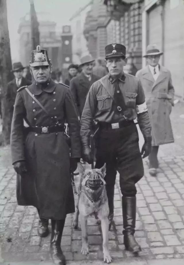 1931年,一名纳粹官员和一名警察在德国柏林巡逻,猛犬的嘴巴带着口套