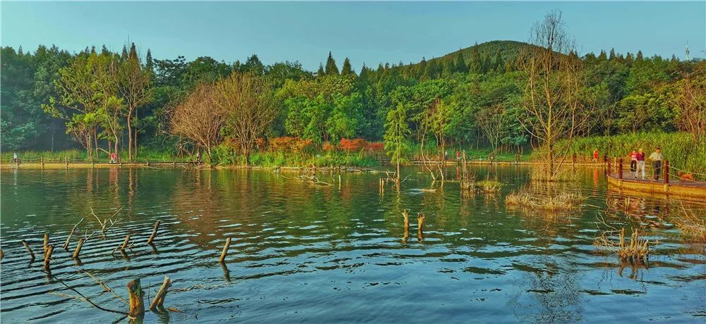 大通湿地公园中湖光旖旎