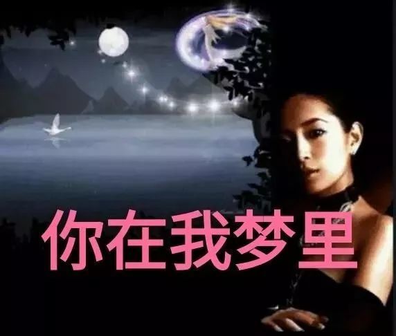 想你,我在梦中等着你