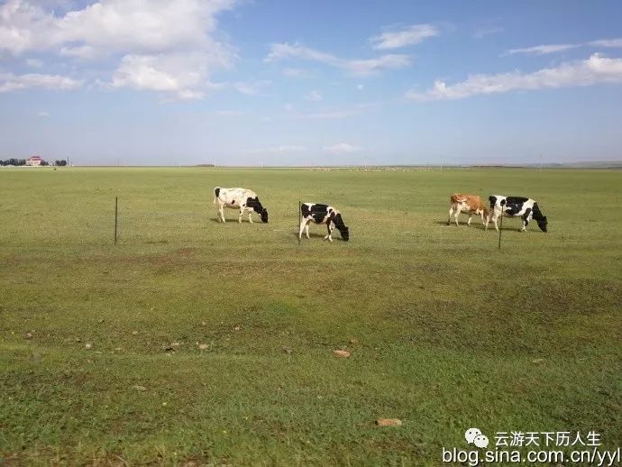内蒙呼伦贝尔:呼伦湖与扎赉诺尔—2019北行记