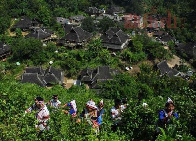 基诺族:跳了36年大鼓舞,现在的她依然舞姿矫健,身轻如燕