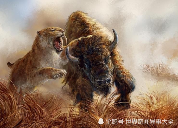 史前最凶猛的七大剑齿虎