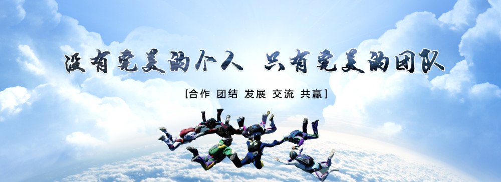 整体大于个体之和 相信团队的力量