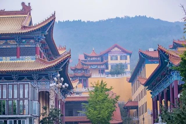 《地藏经》上讲的若能回向法界是什么意思?