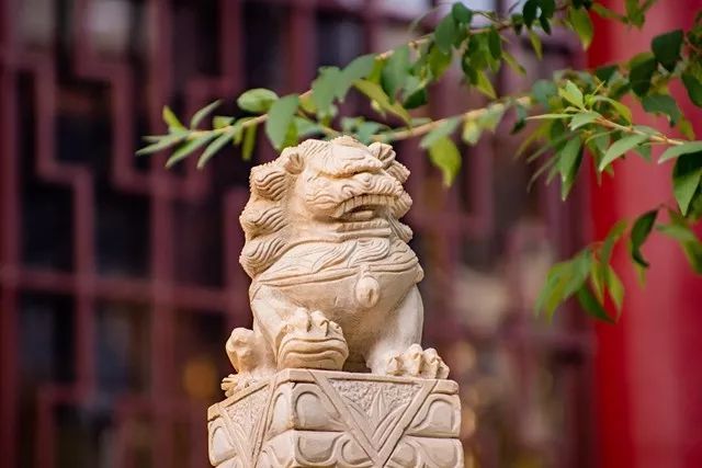 《地藏经》上讲的若能回向法界是什么意思?