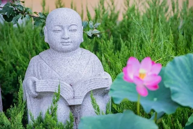 《地藏经》上讲的若能回向法界是什么意思?