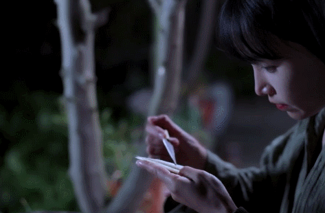 李子柒的后院，终于明白为什么2000万人羡慕她