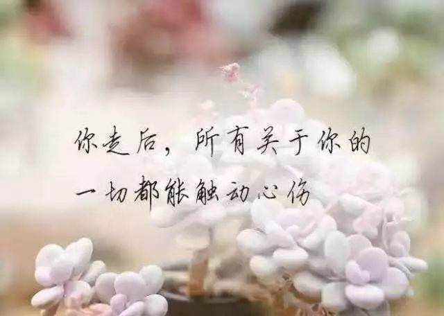 12,笑看花开是一种好心情,静赏花落是一种好境界.