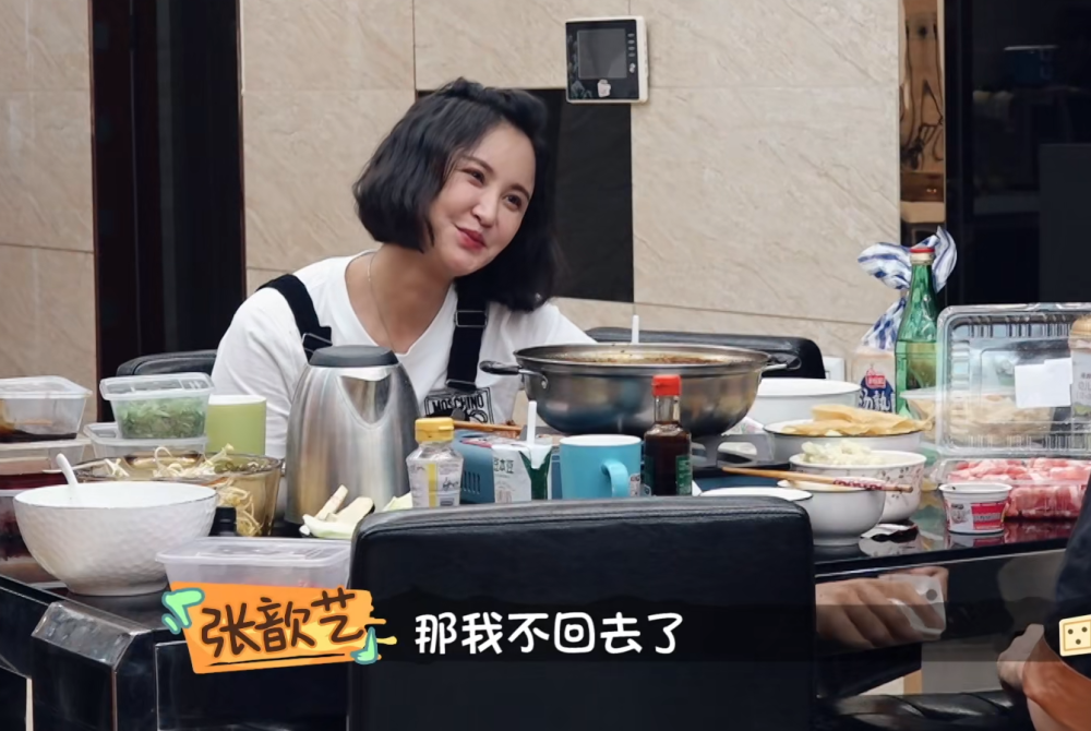袁弘,张歆艺,做家务的男人