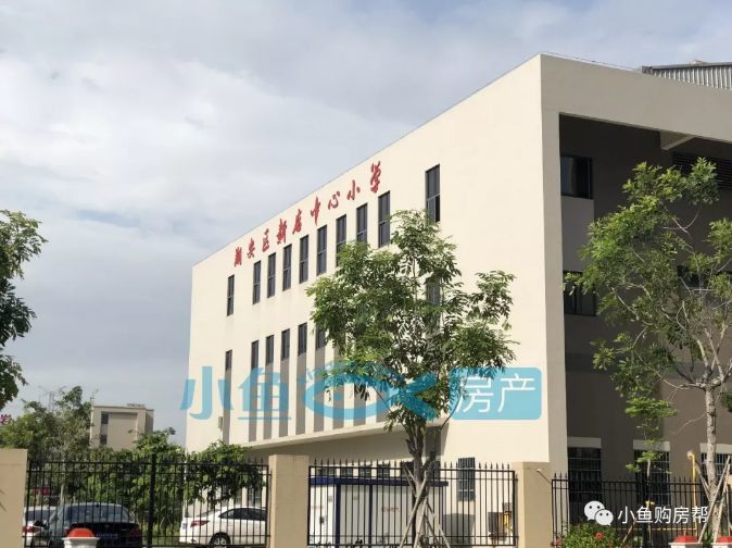 在建中的地铁4号线 贰 教育配套 地块附近有新店中心小学以及彭厝学校