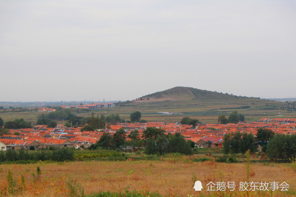 青岛,即墨,钱谷山,乡村游,金口镇