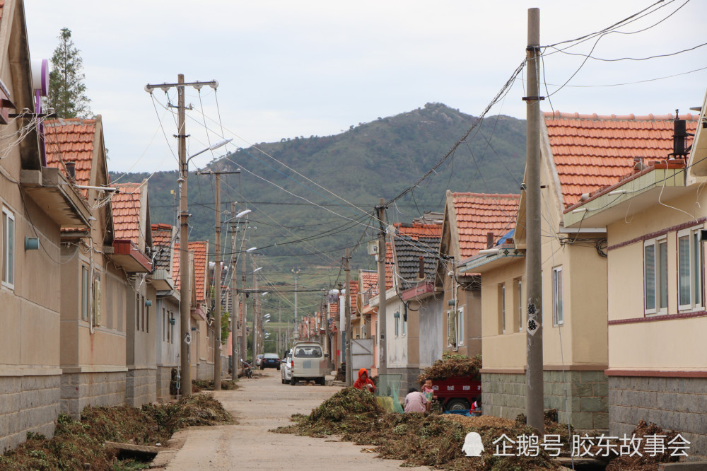 青岛,即墨,钱谷山,乡村游,金口镇