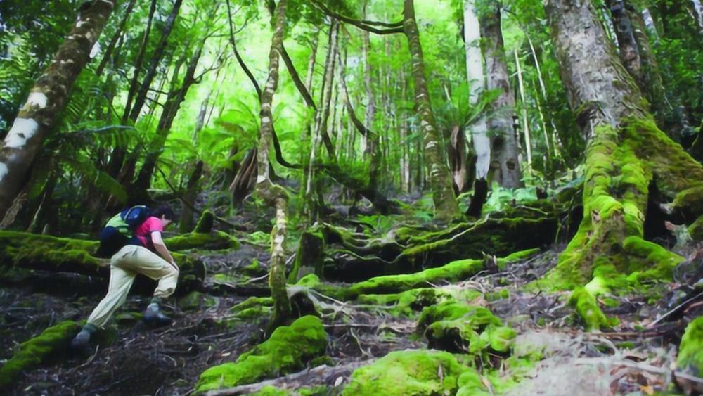 黄泉路,瓦屋山,禁区,神话传说