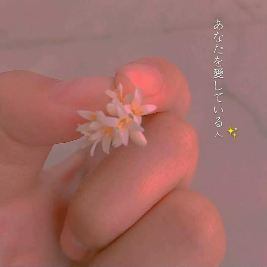 背景图,黄花,小姐姐