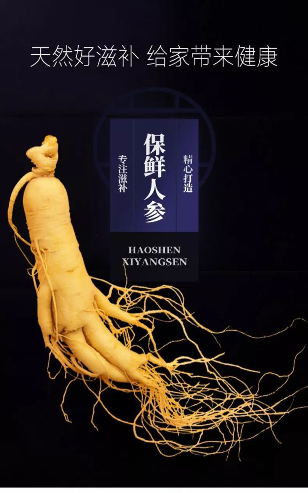 人参大补元气,常服肝好身体安