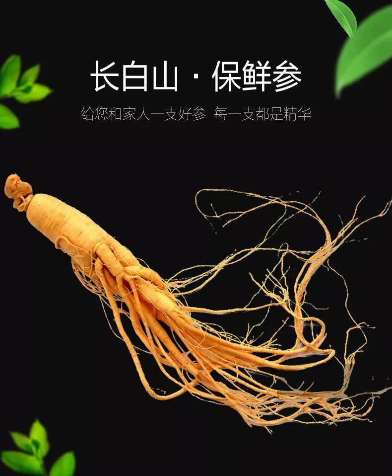 人参大补元气,常服肝好身体安