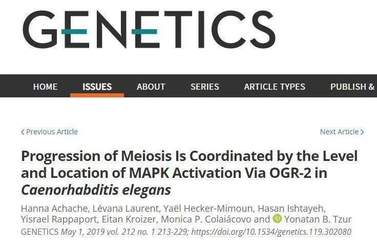 相关结果发表在最近的《 genetics》杂志上.