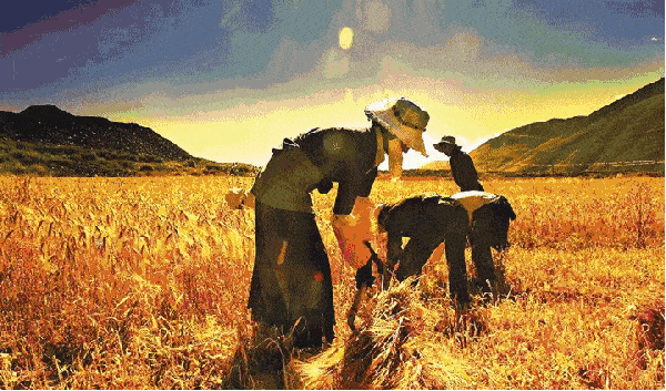 庆祝中国农民丰收节藤县又有直播睇抓鱼捉鸭尝特产