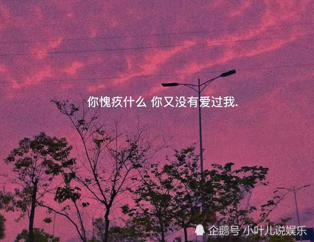 网易云,热评,扎心,虐评,失恋博物馆