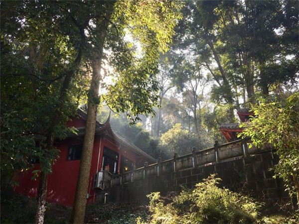 青城山上普照寺,低调奢华有内涵,看似冷清却已声名在外