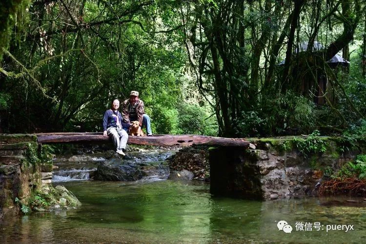 千家寨绝世而独立,好山好水出好茶