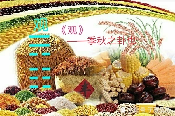 《观卦》之象辞风行地上,观;先王以省方,观