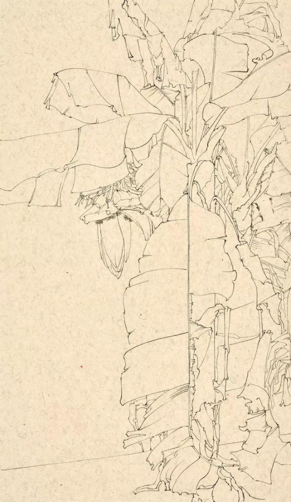 梁瀚文,画家,未君,工笔画,花鸟画