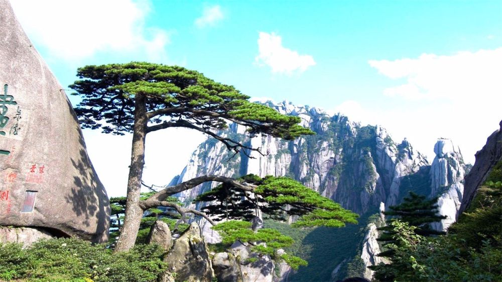中国最美的四大名山,黄山在列,你去过几个?