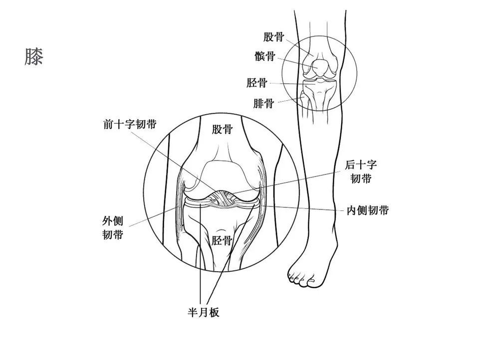 实用,带线锚钉在创伤骨科的应用!