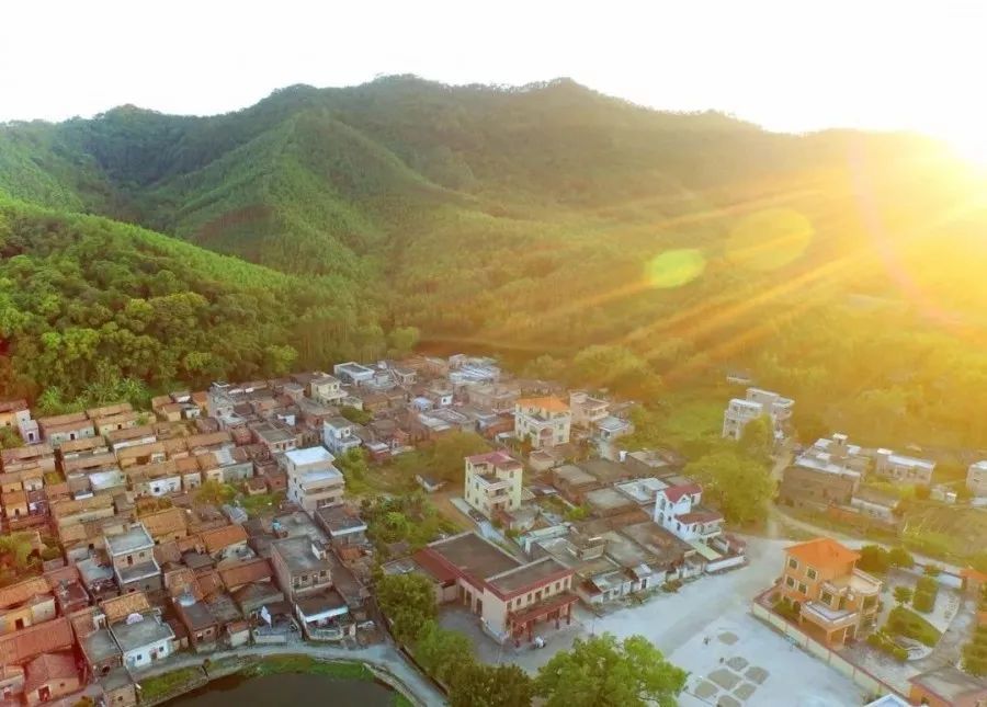 明城镇,乡村振兴,水镇村