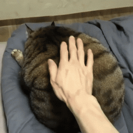 每日一乐,今天的你笑了吗?